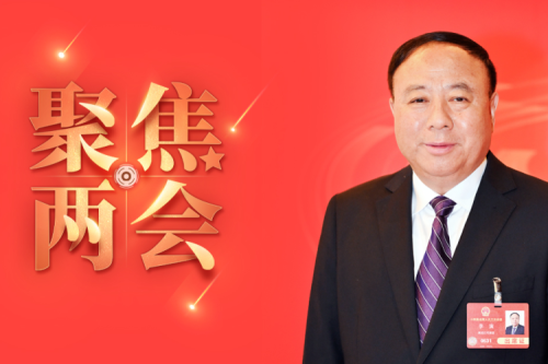 全國人大代表李寅2025年建議之四--盡快解決農(nóng)林生物質(zhì)發(fā)電可再生能源電價附加補助拖欠問題，化解行業(yè)經(jīng)營風(fēng)險的建議